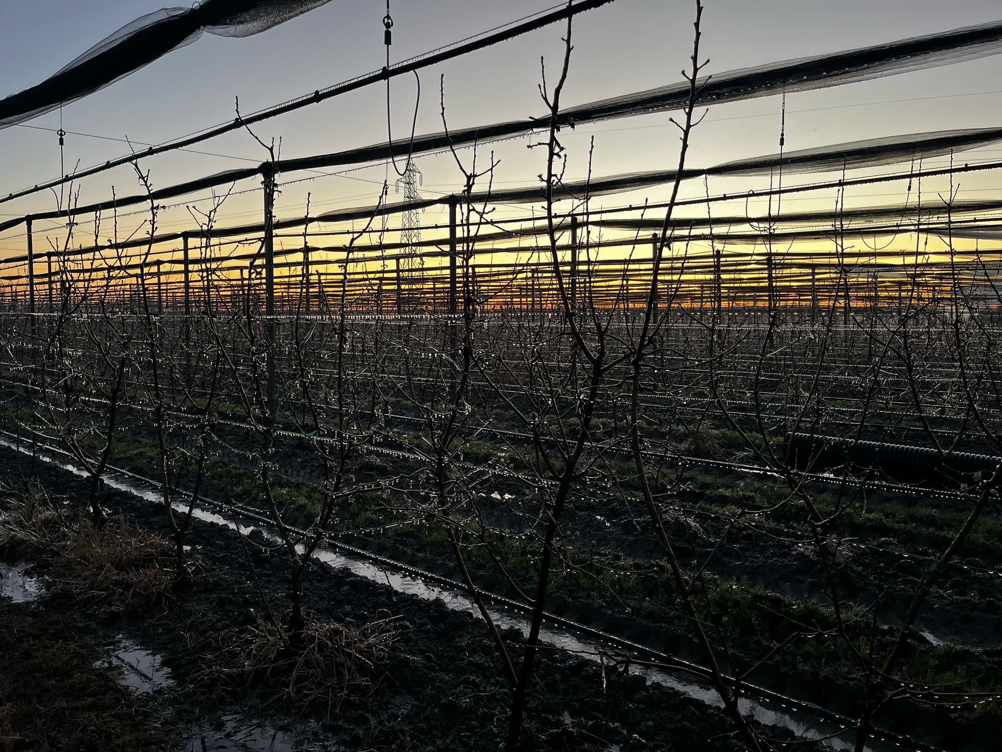Il Consorzio di Bonifica Pianura di Ferrara a difesa delle colture: già invasati 1.000 km di canali per il servizio antibrina e l’irrigazione anticipata