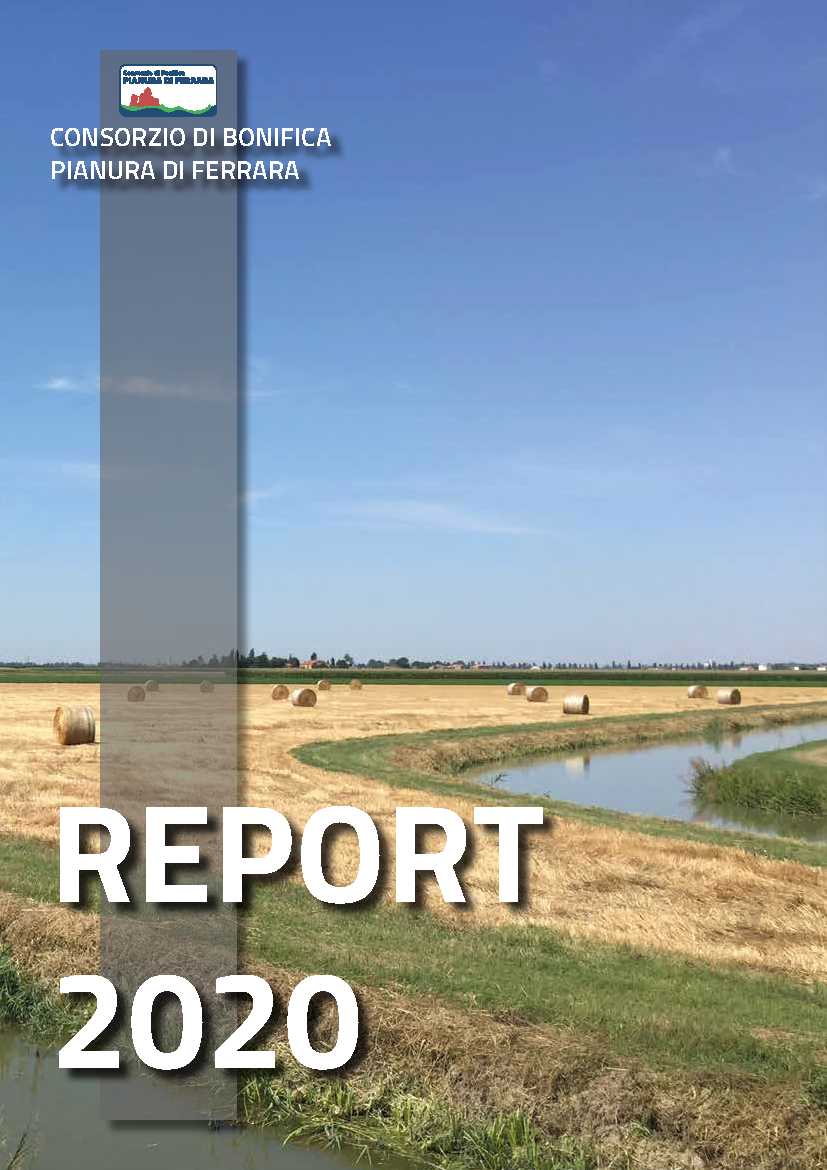 È online il REPORT 2020